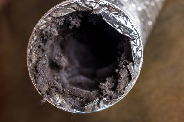 Best Emergency Air Duct Cleaning  in Lynwood, IL