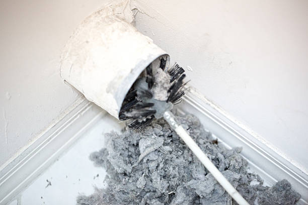 Best HVAC System Cleaning  in Lynwood, IL